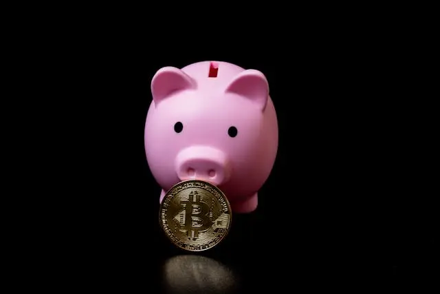 Hot vs Cold Crypto Wallets
